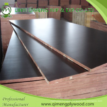 Waterproof Glue 12mm Black Film Faced Plywood for Construction